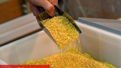 Trump’ın tarife kararı altın fiyatlarını aşağı çekti