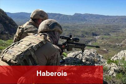 TSK'dan teröristlere bir darbe daha