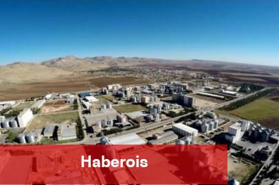 Türk unu ve buğdayı için adil rekabet çağrısı! - Haberois Türk unu ve buğdayı için adil rekabet çağrısı!