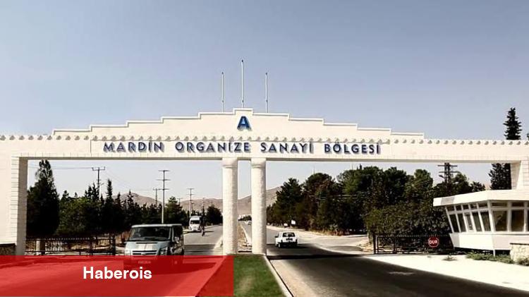 Türk unu ve buğdayı için adil rekabet çağrısı! - Haberois Türk unu ve buğdayı için adil rekabet çağrısı!