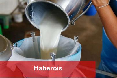 Türkiye’de süt üretimi yükseliyor! Mart’ta 1 milyon 15 bin ton süt toplandı