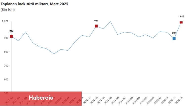 Türkiye’de süt üretimi yükseliyor! Mart’ta 1 milyon 15 bin ton süt toplandı
