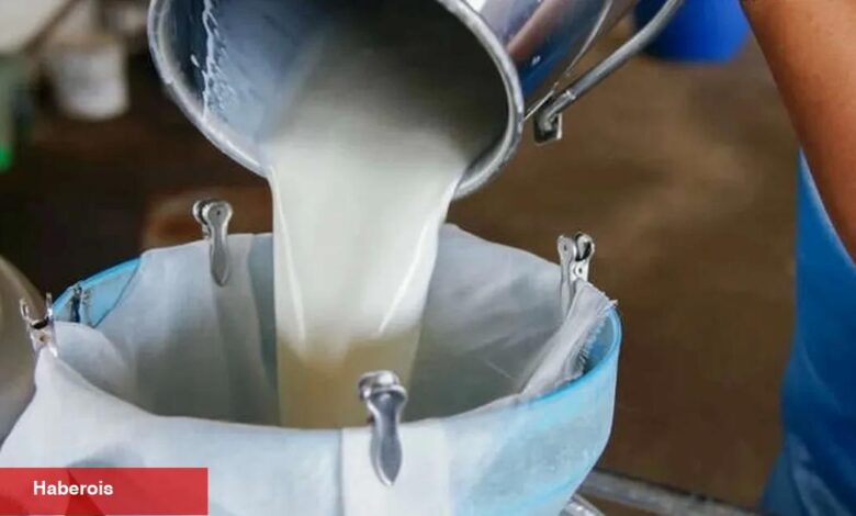 Türkiye’de süt üretimi yükseliyor! Mart’ta 1 milyon 15 bin ton süt toplandı