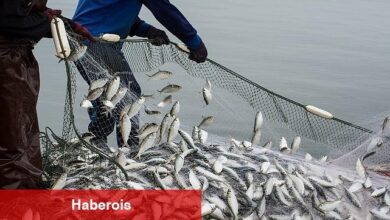 Türkiye'nin su eserleri ihracatı 5 yılda yüzde 100 arttı - Haberois Türkiye'nin su eserleri ihracatı 5 yılda yüzde 100 arttı