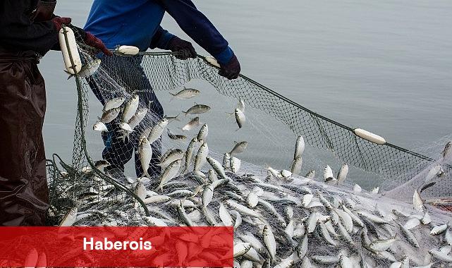 Türkiye'nin su eserleri ihracatı 5 yılda yüzde 100 arttı - Haberois Türkiye'nin su eserleri ihracatı 5 yılda yüzde 100 arttı
