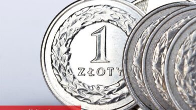 UBS, EUR/USD ve EUR/PLN için iddialarını güncelledi