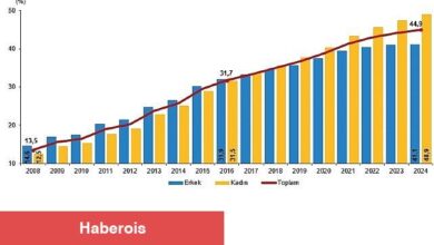 Ulusal Eğitim İstatistikleri, 2024