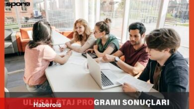 Ulusal staj programı sonuçları ne vakit açıklanacak? 2025