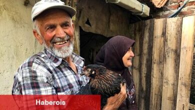 Üreticiye yüzde 50 hibeli yumurta tavuğu dayanağı