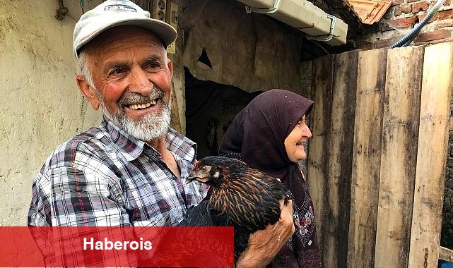 Üreticiye yüzde 50 hibeli yumurta tavuğu dayanağı