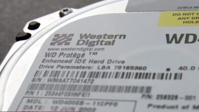 Western Digital payları yeni geri alım planıyla yükseldi