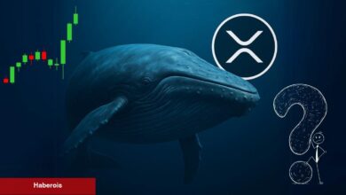 XRP Balinasının Cüzdanı Hareketlendi! Ne Manaya Geliyor? - Haberois XRP Balinasının Cüzdanı Hareketlendi! Ne Manaya Geliyor?