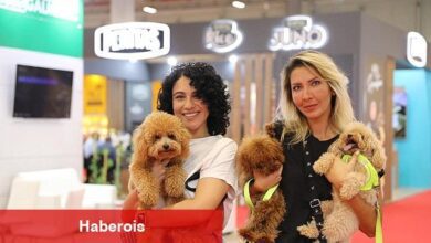 ZOOMARK ve PETZOO EURASIA Evcil Hayvan Fuarları iş birliği - Haberois ZOOMARK ve PETZOO EURASIA Evcil Hayvan Fuarları iş birliği