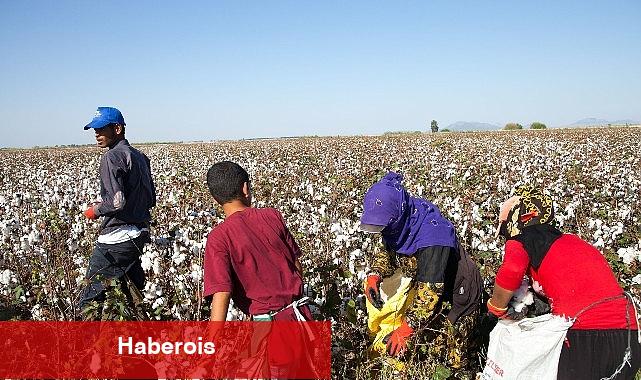 12 Haziran Dünya Çocuk Personelliği ile Çaba Günü: Türkiye'de mevsimlik tarımın yükü çocukların omzunda