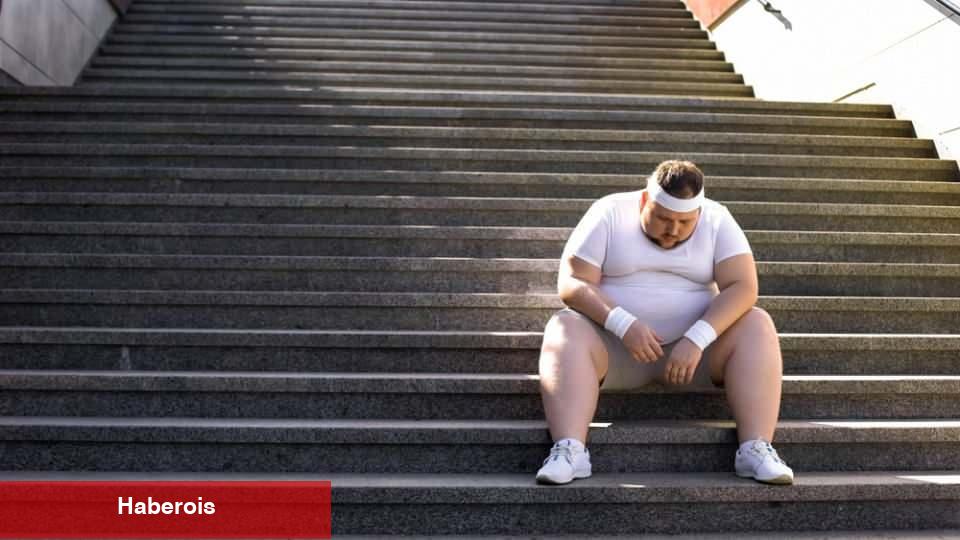 5 haftada 3,5 milyon kişi! 'İdeal Kilonu Öğren Sağlıklı Kanun' kampanyasına rekor iştirak - Haberois 5 haftada 3,5 milyon kişi! 'İdeal Kilonu Öğren Sağlıklı Kanun' kampanyasına rekor iştirak
