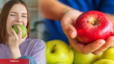Araştırma sonuçları şaşırttı: Günde bir elma yiyen doktora gitmez mi? - Haberois Araştırma sonuçları şaşırttı: Günde bir elma yiyen doktora gitmez mi?