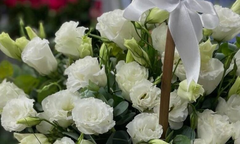 Arı Polenin Faydaları Nelerdir? - Haberois Arı Polenin Faydaları Nelerdir?