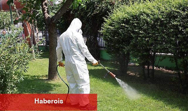 Bağcılar'da parklar ve yeşil alanlar ilaçlanıyor - Haberois Bağcılar'da parklar ve yeşil alanlar ilaçlanıyor