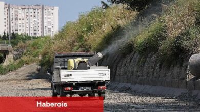 Bakırköy Belediyesi ve İBB işbirliğiyle vektörle çaba - Haberois Bakırköy Belediyesi ve İBB işbirliğiyle vektörle çaba