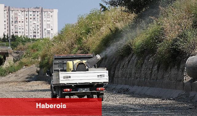 Bakırköy Belediyesi ve İBB işbirliğiyle vektörle çaba - Haberois Bakırköy Belediyesi ve İBB işbirliğiyle vektörle çaba