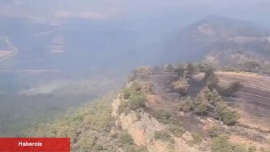 Bilecik'te yangınlar denetim altında - Haberois Bilecik'te yangınlar denetim altında