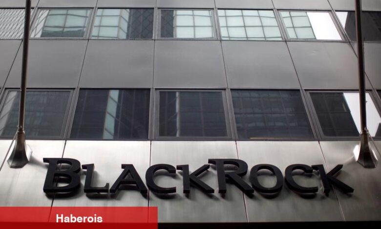 BlackRock, 2030’a kadar dünyanın en büyük kripto varlık yöneticisi olmayı hedefliyor - Haberois BlackRock, 2030’a kadar dünyanın en büyük kripto varlık yöneticisi olmayı hedefliyor