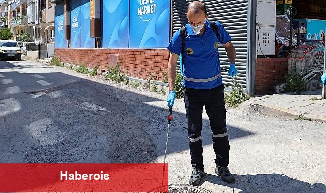 Buca'da 24 saat kesintisiz ilaçlama - Haberois Buca'da 24 saat kesintisiz ilaçlama