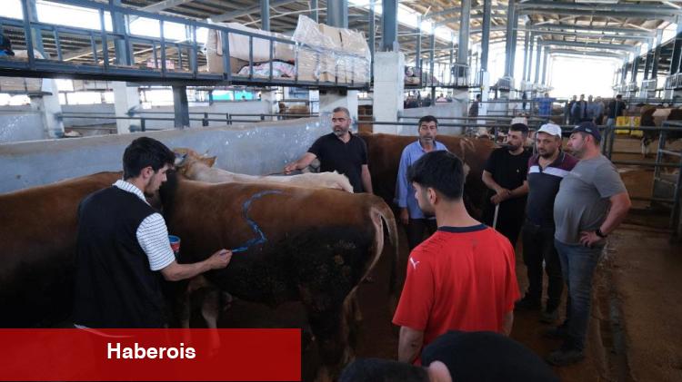 Bursa İnegöl'de 5'inci bayramda çağdaş ve hijyenik satış