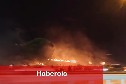 Bursa Mudanya Yolu'nda alevler yükseldi! Çağrışan'da yangın paniği!