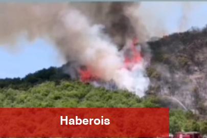 Bursa'da Yenişehirli çiftçilerden yangın seferberliği