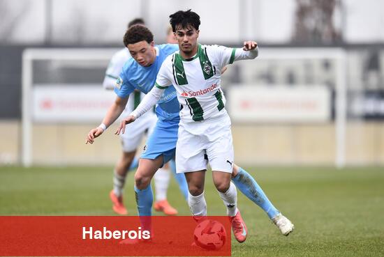 Bursaspor'dan gurbetçi atılımı - Haberois Bursaspor'dan gurbetçi atılımı