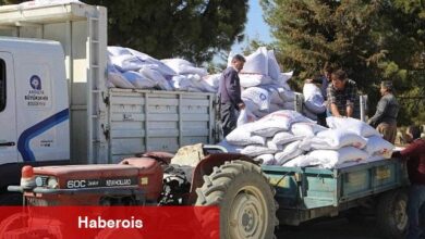 Büyükşehir'den yem dayanağıyla süt üretimine güçlü katkı - Haberois Büyükşehir'den yem dayanağıyla süt üretimine güçlü katkı