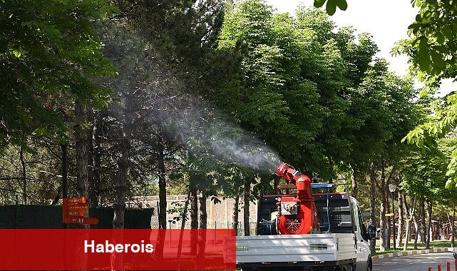 Çankaya Belediyesi'nden Yaz Aylarına Özel İlaçlama