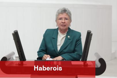 CHP’li Yontar’dan İklim Kanunu eleştirisi: Doğayı değil, sermayeyi kolluyor
