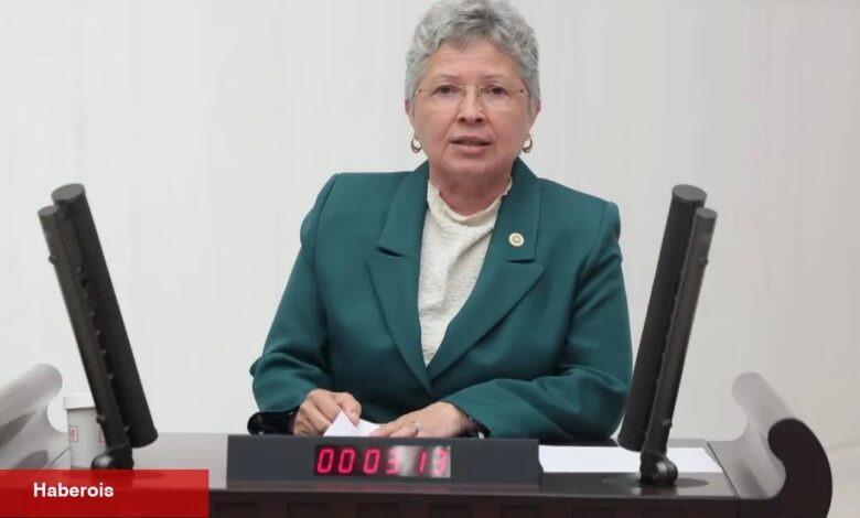 CHP’li Yontar’dan İklim Kanunu eleştirisi: Doğayı değil, sermayeyi kolluyor