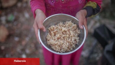 DB: Çatışma ve istikrarsızlık aşırı yoksulluğu artırıyor - Haberois DB: Çatışma ve istikrarsızlık aşırı yoksulluğu artırıyor