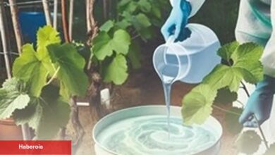 Denizli’de kırsal üretime güçlü dayanak paketi