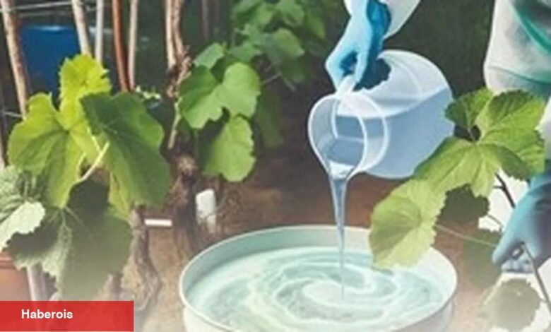 Denizli’de kırsal üretime güçlü dayanak paketi - Haberois Denizli’de kırsal üretime güçlü dayanak paketi