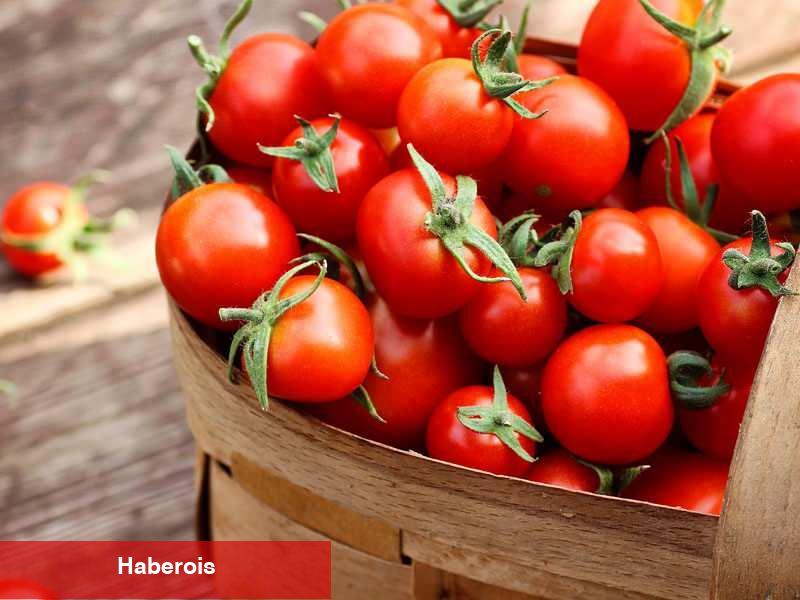 Domates yiyen hastalık nedir unutuyor! Yararları saymakla bitmiyor