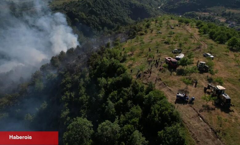 Düzce Yığılca’da orman yangını!