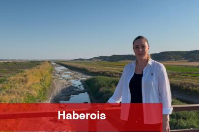 Edirne’de çeltik üreticileri alarm veriyor! Ergene Irmağı kurudu, tarım tehdit altında