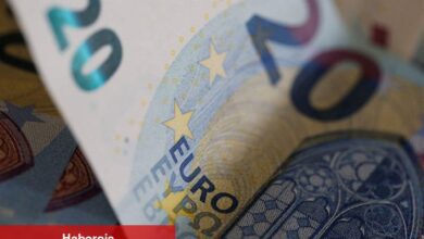 Euro yükselirken döviz korumalı hisselerin daha iyi performans göstereceği öngörülüyor - Haberois Euro yükselirken döviz korumalı hisselerin daha iyi performans göstereceği öngörülüyor