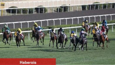 Gazi Koşusu ne vakit düzenlenecek? 2025 Gazi Koşusu tarihi ve yeri