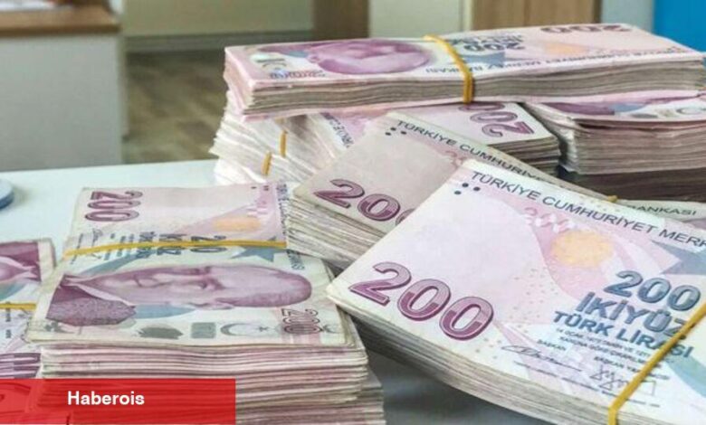 Hazine 1,074 trilyon liralık iç borçlanmaya gidecek
