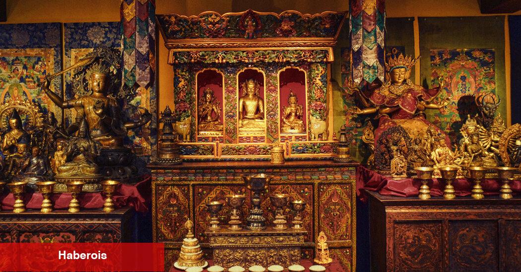 Himalaya Arka'nın bir mücevher yeni bir ortamda parlıyor
