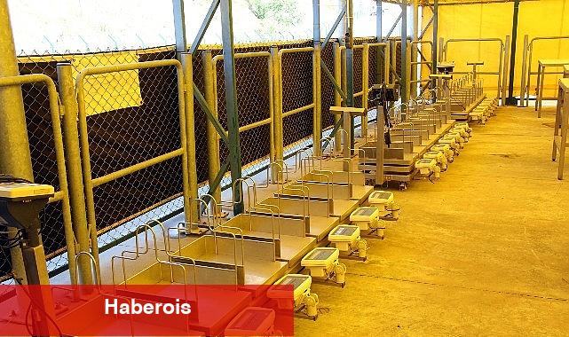 İBB bayram hazırlıklarını tamamladı - Haberois İBB bayram hazırlıklarını tamamladı