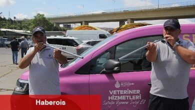 İBB boğa timi misyon başında - Haberois İBB boğa timi misyon başında