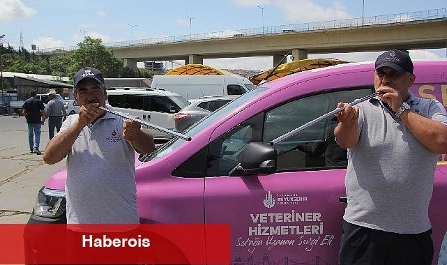 İBB boğa timi misyon başında - Haberois İBB boğa timi misyon başında