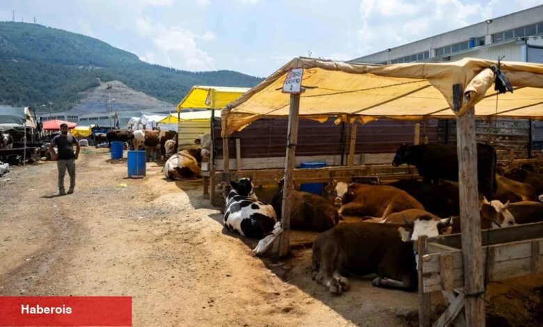 İzmir Bornova'da Kurban Pazarı kapılarını açtı