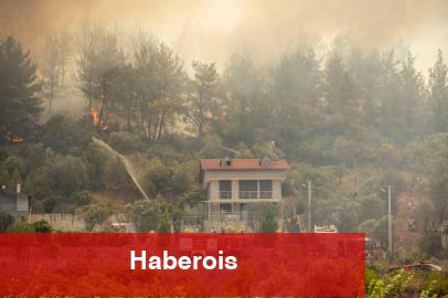 İzmir Büyükşehir'den yangınların bilançosu